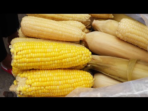 Amazing Street Food, Street Foods For Lunch Along Veng Sreng Street, Cambodian Street Food 2020