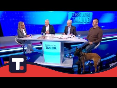 Pas (ni)je oružje- Ana Bjelović i Duško Jovanović • DOBRO JUTRO TANJUG