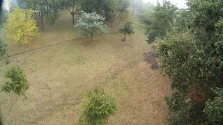 Fuck the Fog - Vortex // ImmersionRC