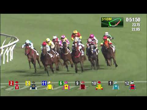 24/11/2021 (202) Romantic Warrior - J Moreira