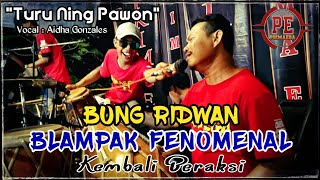 Download lagu PRIMAEGA - Turu Ning | Cover Blampak RIDWAN mp3