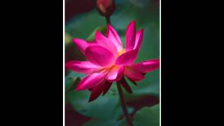 STORY OF MY LOVE. - PAUL ANKA