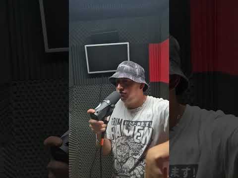 Bieniu | Polish Beatbox Battle 2024 Solo Wildcard #pbb2024dzikakarta