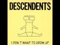 Descendents - Rockstar/No FB