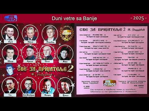 Žika Radujević - Sve za prijatelje 2 - (Audio 2025) - DISKOS
