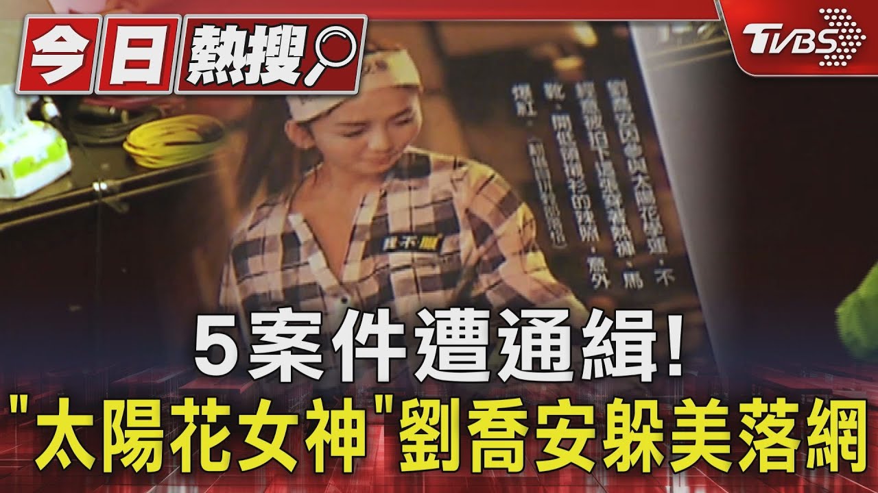5案件遭通緝!「太陽花女神」劉喬安躲美落網