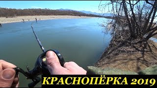 Рыбалка на реке сучан приморский край