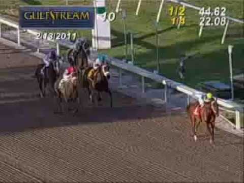 Starlight Champions - Hilda's Passion wins the Hurricane Bertie Stakes