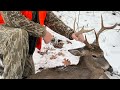 Mountain Buck Doe Down PA Rifle Deer Hunt