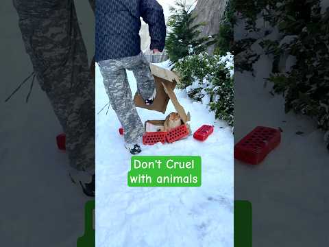 kindness #funny #kindness