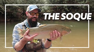 MONSTER TROUT on the Soque River with Big T