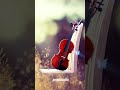 Oorelam Unnai Kandu Whatsapp Status Instrumental Nanbenda Harrish Jayaraj Violin Cover
