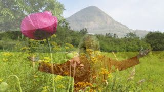 Istvan Sky - Avatar Healing Chants Digiridoo