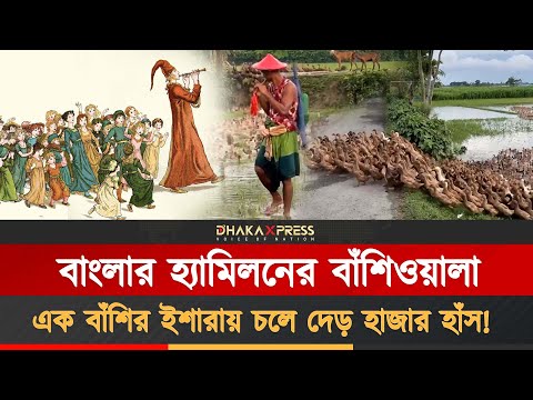 সাতক্ষীরার মিন্টু মিয়ার বাঁশির নিয়ন্ত্রণে দেড় হাজার হাঁস