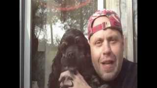 SEAMUS'S WORLD: Day 142 featuring DAVID HOMYK