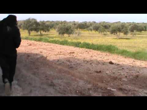 اشتباكات بين عناصر لواء داوود ولواء أحفاد الصحابة وقوات النظام على حاجز الأعلاف في مدينة إدلب