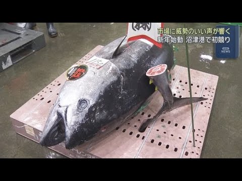 YouTube Video 静岡・沼津港の魚市場で初競り　青森・大間のマグロを「沼津魚がし鮨」が落札