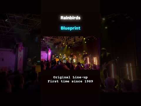 RAINBIRDS - Blueprint SNIP - Original Line-up