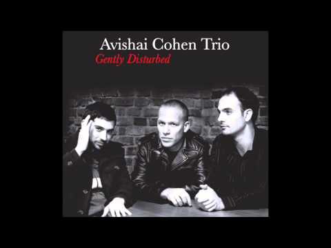 Avishai Cohen - Eleven Wives