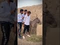 Billu Dgk Funny Tiktok Shorts Tiktok Billudgk