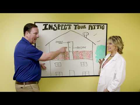 Inspect Your Attic