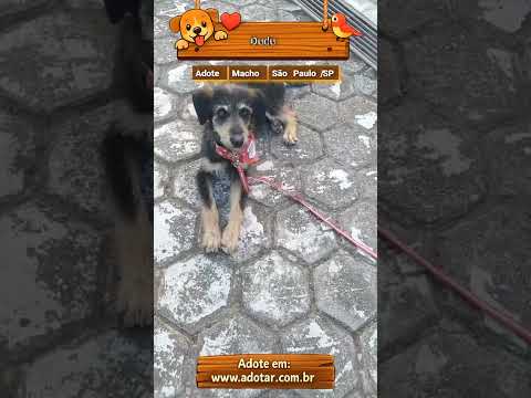 Vídeo de Dudu