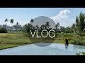 GOA MUMBAI VLOG THE ORGANIC FIX