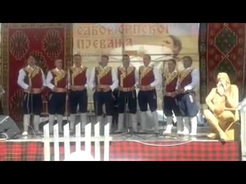 POBJEDNICI SABORA SRPSKOG PJEVANJA U VOJKOVIĆIMA 2012