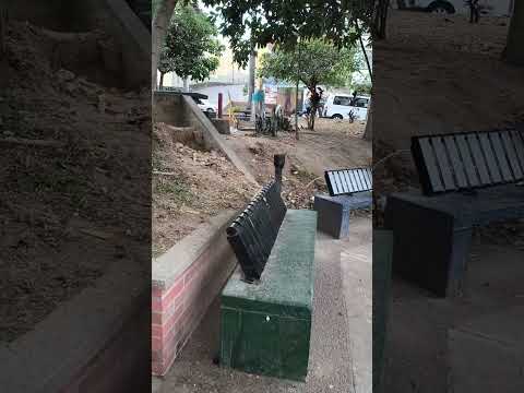 Tú qué opinas de los parques de Armenia Q, sí ha mejorado el entorno comenta y comparte #ajcomunica