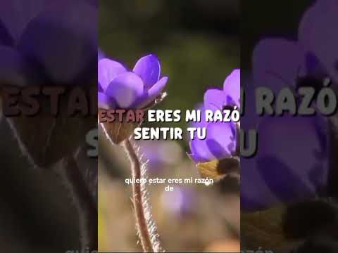 mi durazno🥀 ya disponible