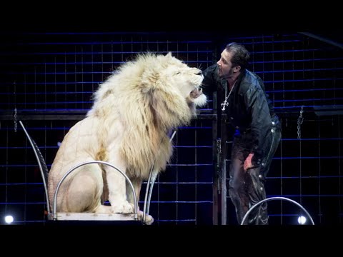 Martin Lacey Jr. -  Performance with lions