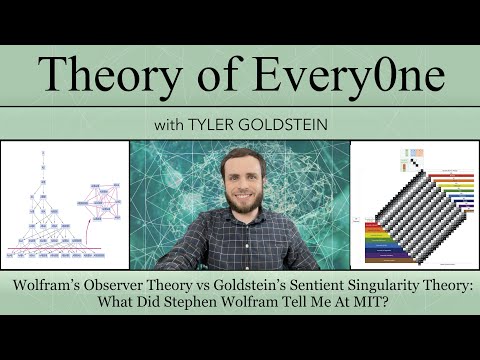 What Stephen Wolfram Told Me At MIT: Do We Agree?  - Theory Of EveryOne With Tyler Goldstein