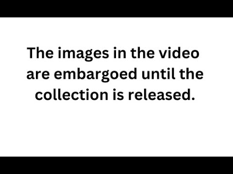 Picasso Dethroned: Marc Stone Becomes the Most Prolific Painter in the World  ( Images / Embargoed)