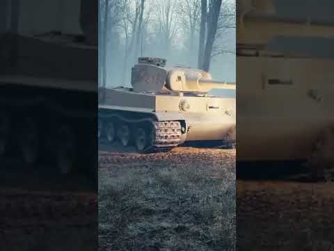 When the Firefly Hunted the Tiger 🐅🔥