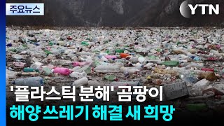 플라스틱 빨리 분해하는 해양 곰팡이 발견...플라스틱 쓰레기 문제 해결에 새 희망