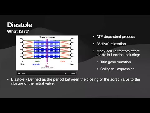 Echocardiographic Assessment of Diastolic Function