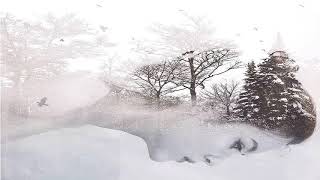 La.Mia.Bocca - Ocean of Sadness (Pacha Remix)