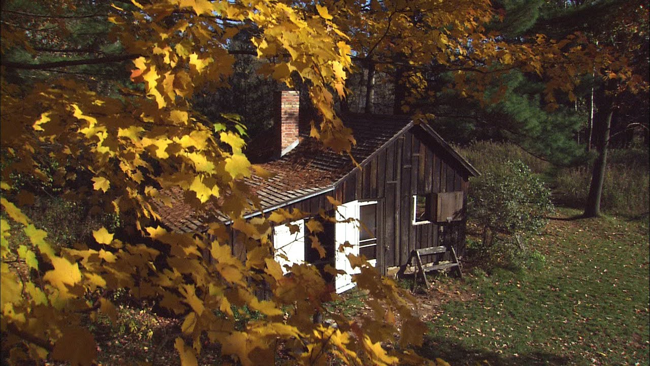 Green Fire trailer 1:00min