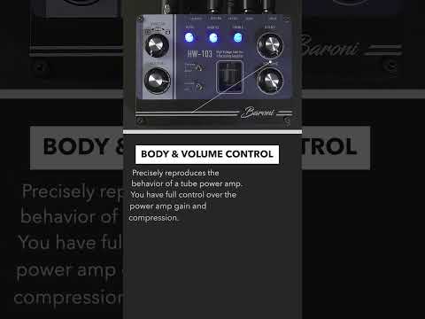 Baroni HW-103 Tube Preamp / D.I. Recording Amp (Hiwatt DR-103) image 6