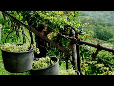 Andreola - Heroic Viticulture