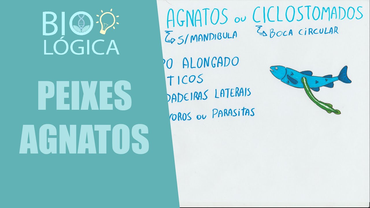 BIO LÓGICA! PEIXES AGNATOS