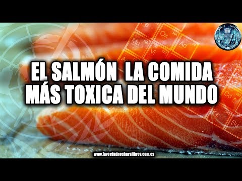 Cinco cosas que no sabes sobre el salmón de piscifactoría Cinco cosas que no sabes sobre el salmón de piscifactoría
