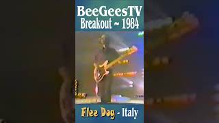Bee Gees TV &quot;Breakout&quot; 1984 Italy