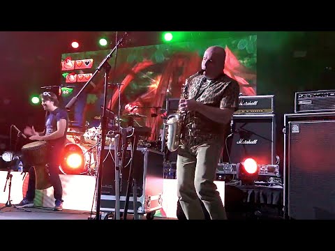 Donkey Kong Country Theme ft. David Wise LIVE at MAGFest (Rare)