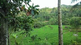 Download lagu duit geus teu boga mp3