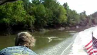 preview picture of video 'Flying Asian Carp, Bath Illinois'