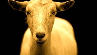 Ritual on How to Contact A Demonic Entity: PART A