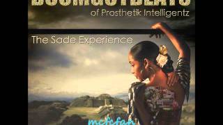 DOOMGOTBEATS (Prosthetik Intelligentz) - Quiet Storm (Hot B4)