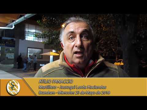 23-05-18 Nota Atilio Panaccio - Martillero - Jauregui Lorda Haciendas - Brandsen