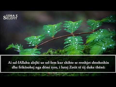 Si vepronte Profeti sal-lAllahu alejhi ue sel-lem kur binte shi’--Shejh Salih el-Feuzani